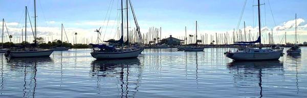 Boats in Harbor