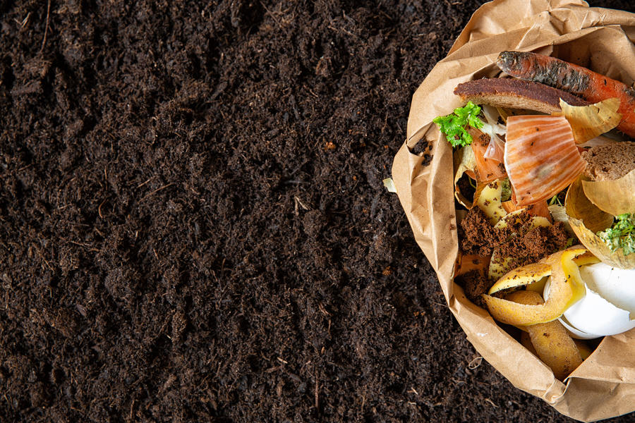 Pile of food waste next to a mound of compost amendment