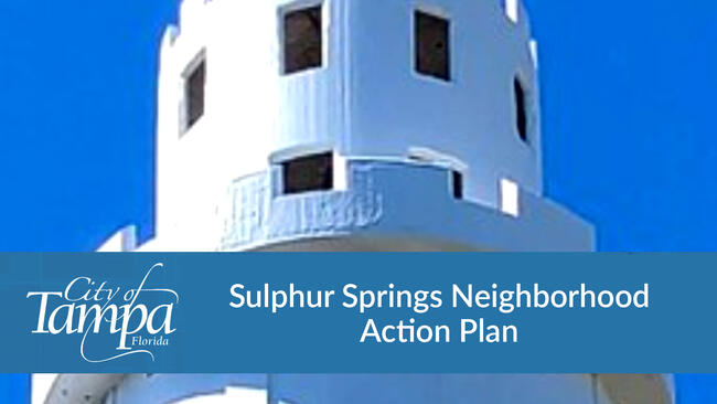 Sulpher Springs Neighborhood Action Plan